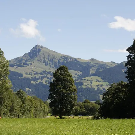 Absolute Active Roulette Kirchberg Apartmán *