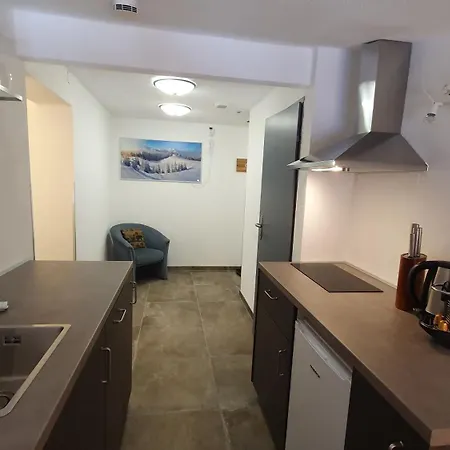 Absolute Active Roulette Apartments Kirchberg Apartment