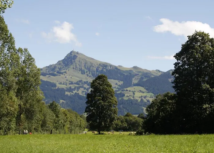 Absolute Active Roulette Kirchberg Appartement *