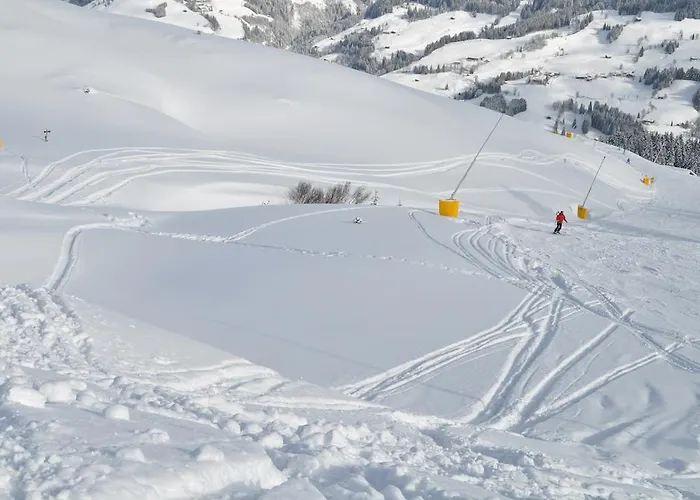 Appartement Absolute Active Roulette Kirchberg